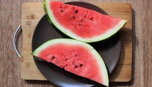 pros and cons of watermelon diet for weight loss